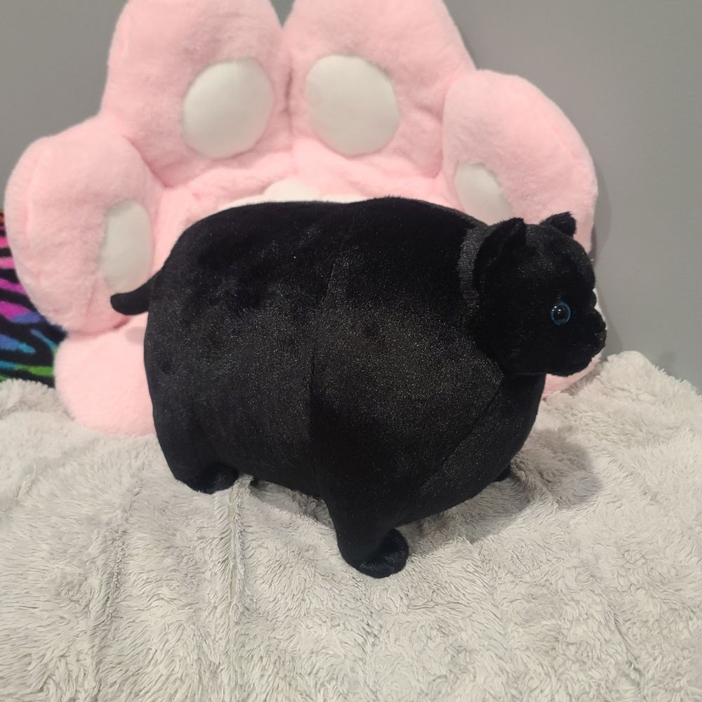 A heckin chonker kitty plushie.