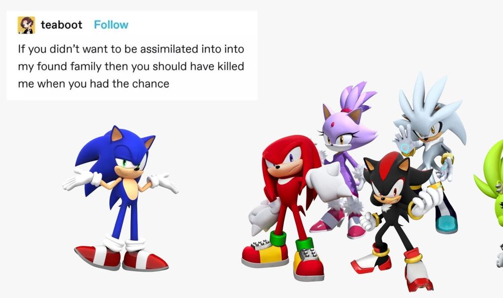 A post by teaboot on Tumblr that reads, "If you didn't want to be assimilated into into my my found family then you should have killed me when you had the chance"

This is framed via an edit as Sonic the Hedgehog saying this to Knuckles, Blaze, Shadow, Silver, and Surge. 