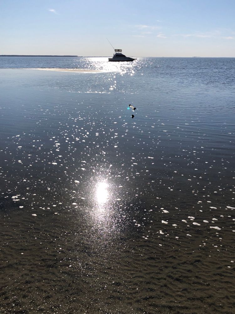 Abandoned boat still here after 51/2 months. 