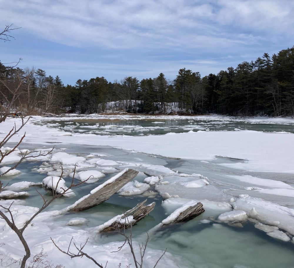 Salt marsh in winter, snow and ice.