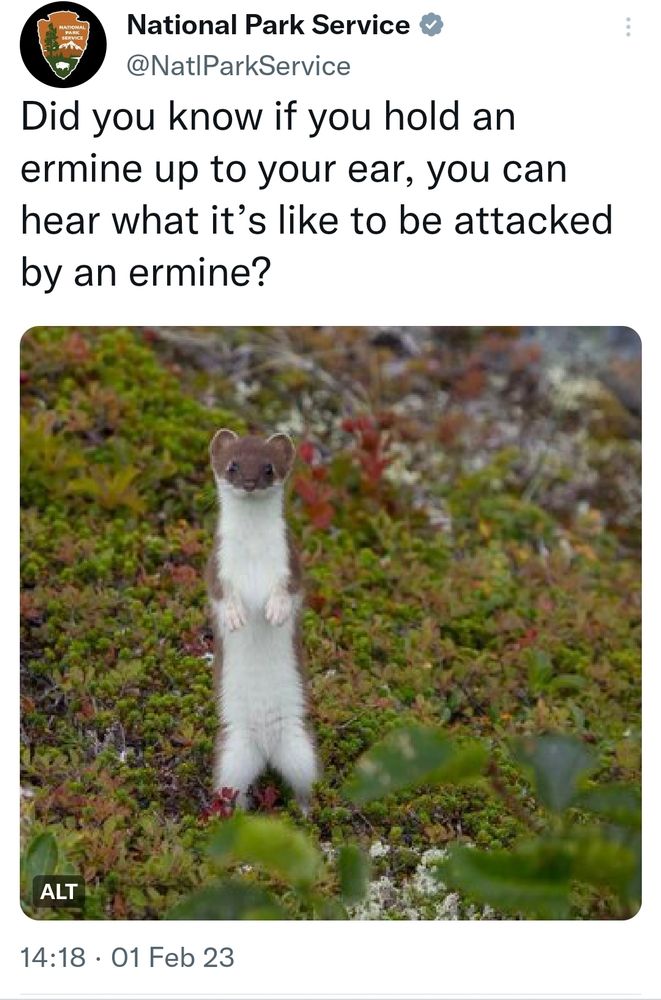 Comment image