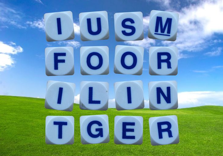 The 16-letter grid to play the weekly game of TheBOG: IUSM / FOOR / ILIN / TGER