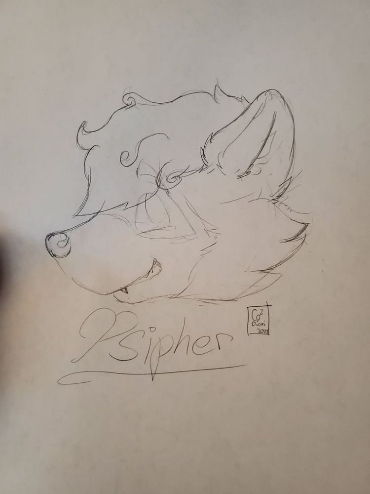 Head portrait of a raccoon.