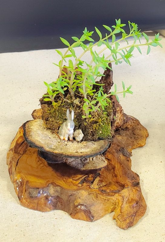 Miniature bunny next to a tiny stone on a natural small wood platform with a little stone crop sedum growing on top creating a mini landscape 

