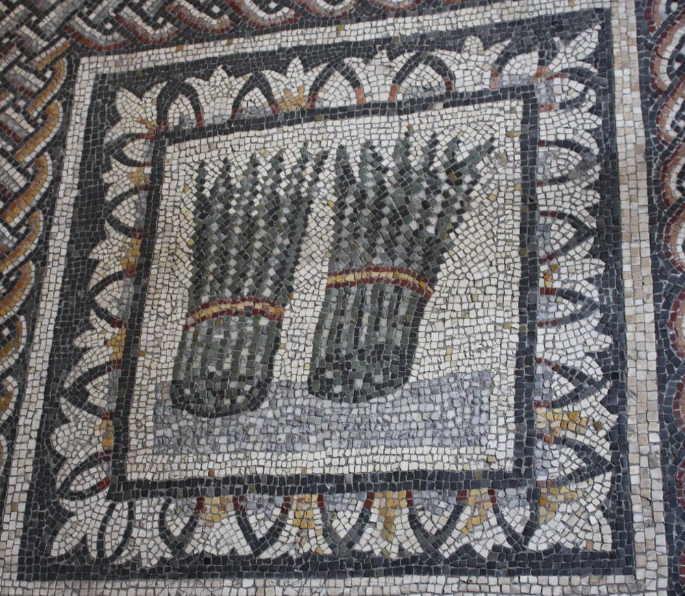 A Roman floor mosaic dating to between 350 and 375 CE and depicting asparagus. Food was a popular subject in mosaics throughout the Roman period. Provenance: Toragnola, Rome. (Vatican Museums, Rome). Image and caption via mark cartwright https://www.worldhistory.org/image/2616/asparagus-roman-mosaic/
