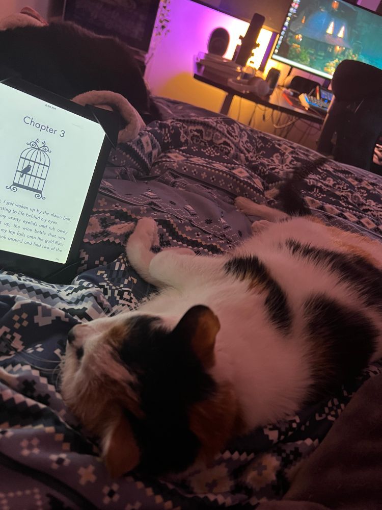 A calico cat lying on their side and a kindle with the words chapter 3 on it 