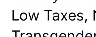 LOW TAXES