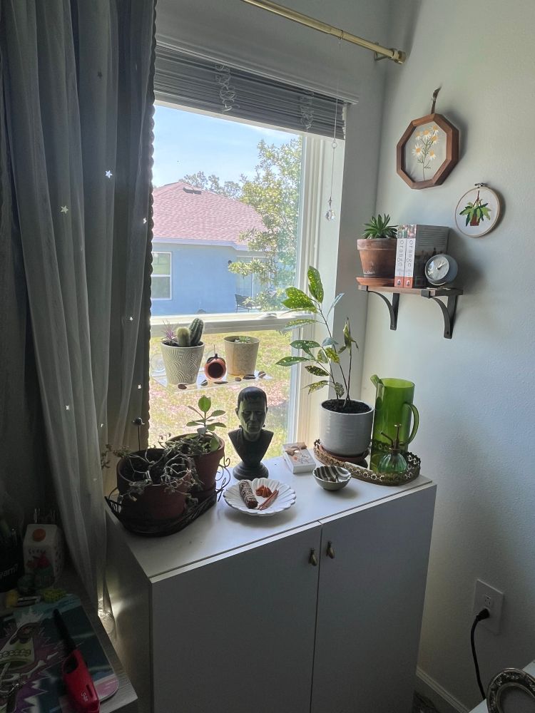 My window display in my room. Everything is mostly green and gold. There are plants sitting in the window and a Frankenstein head for decoration. 