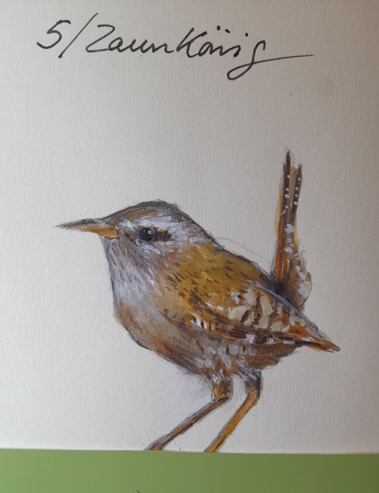 zaunkönig ,seitenansicht,nach links blickend,brauntöne,mit weissen akzenten,steht auf grünen papierstreifen (soll einen rasen andeuten)aquarell und buntstift