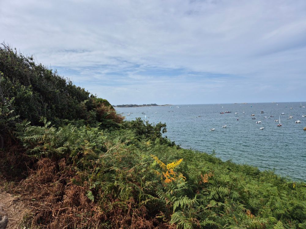 Photo de mer. Sur la mer, on voit des voiliers au mouillage. La photo est divisée en 2 en diagonale. En dessous de la dagionale, on voit des fougères. Le ciel est empli de nuages fins blancs