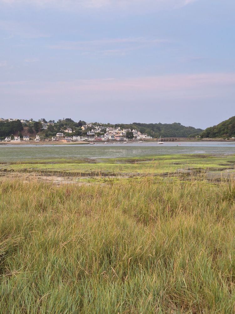 Photo d'un bras de riviere a marée basse. Au premier plan on voit des l'herbe puis de la vase recouverte d'algues vertes puis un peu d'eau sur laquelle des bateaux sont au mouillage. Au fond on voit un village sur un pan de colline.