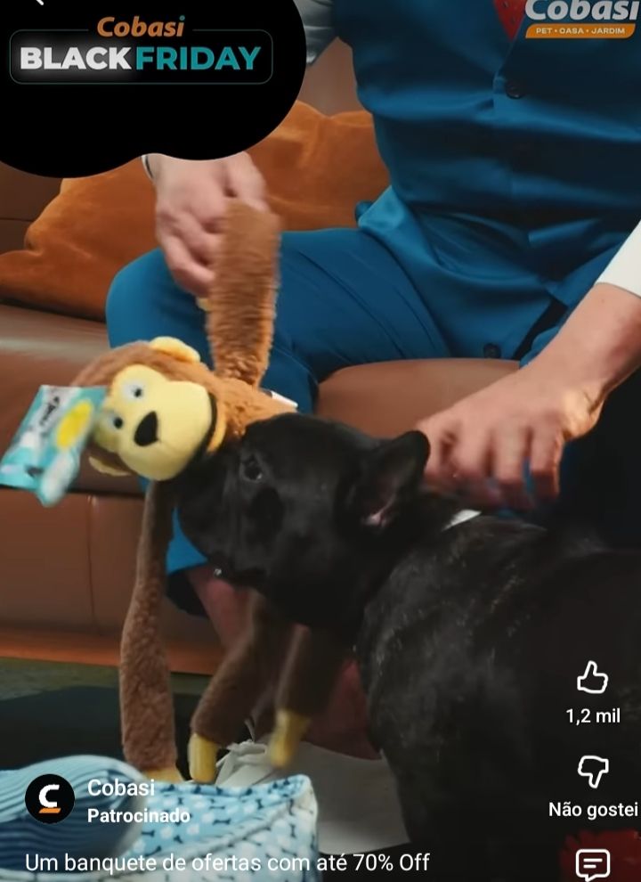 Frame do vídeo da propaganda onde um macaco de pelúcia nitidamente ainda com a etiqueta de venda é cheirado por um buldog francês preto e segurado pelo Jacquin 