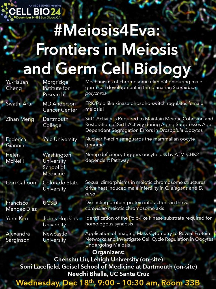 A poster of the #Meiosis4Eva Special Interest Subgroup at Cell Bio 2024, with speaker names, affiliations and titles of their talks.