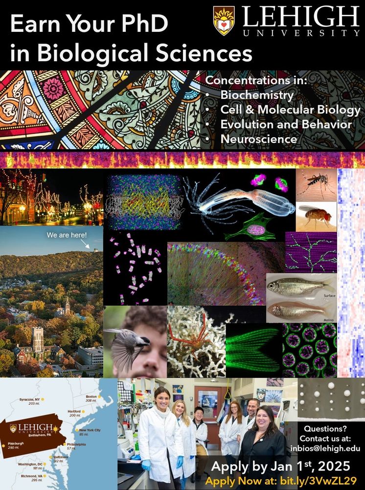 Flyer for the Biological Sciences PhD Program at Lehigh University, with images highlighting the diverse research being carried out in this program. Application deadline Jan 1st, 2025.