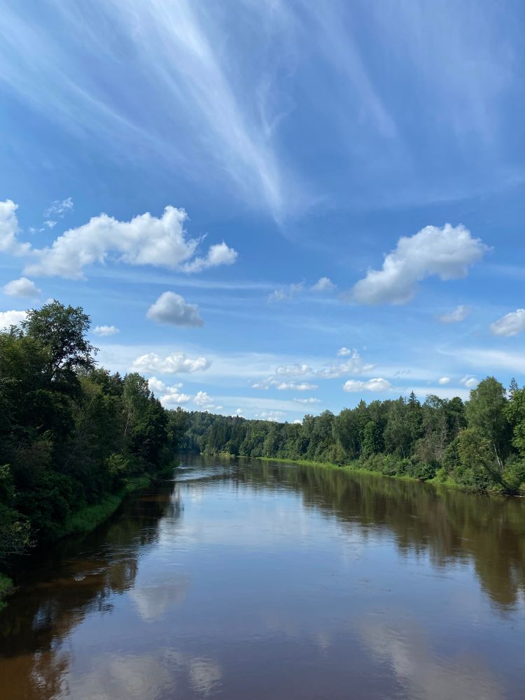 The river Gauja in Latvia, with heavily wooded banks and a seemingly glassy complexion, which is a mere illusion, as the flow is fast.