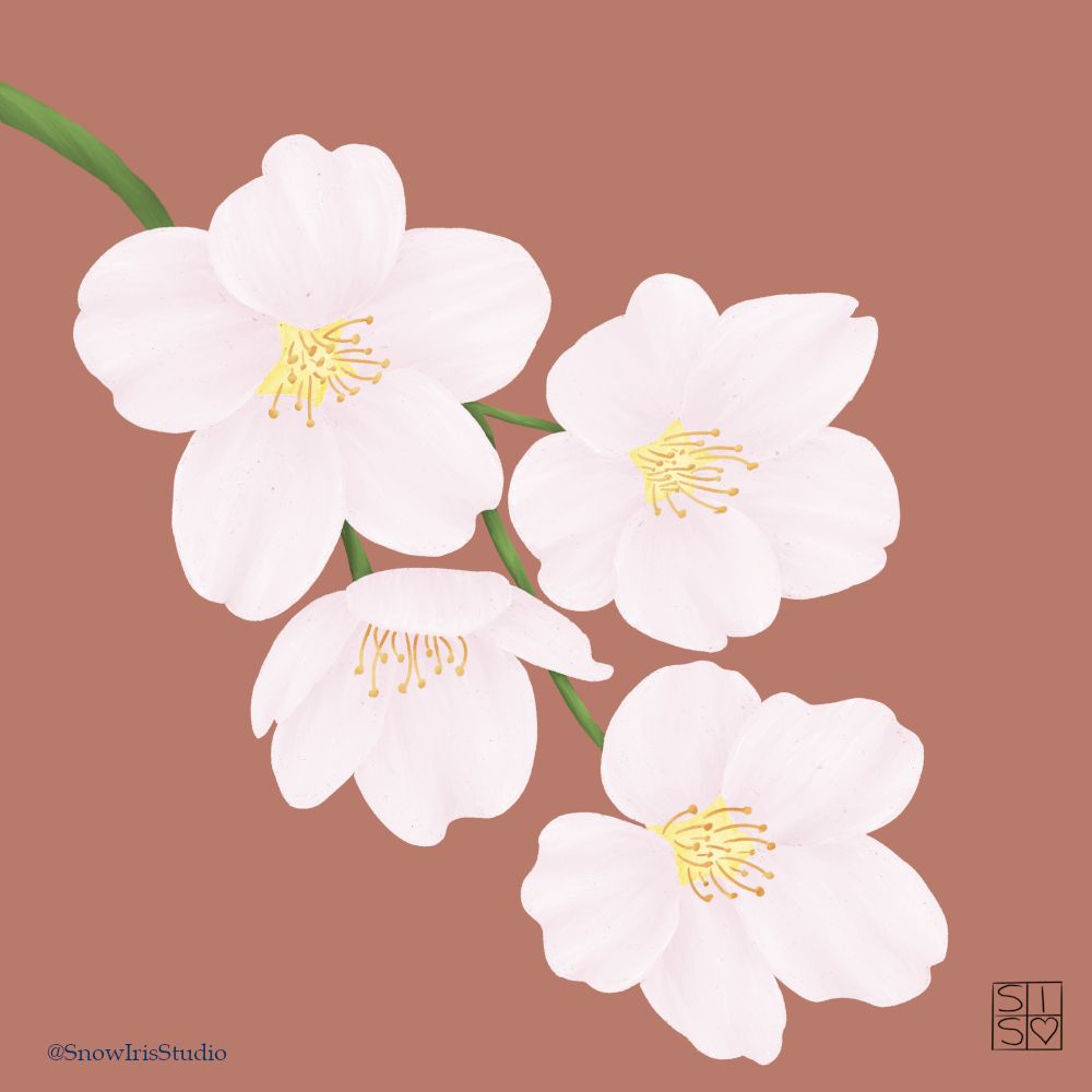 A sprig of pale pink cherry blossoms on a dark tan background. 