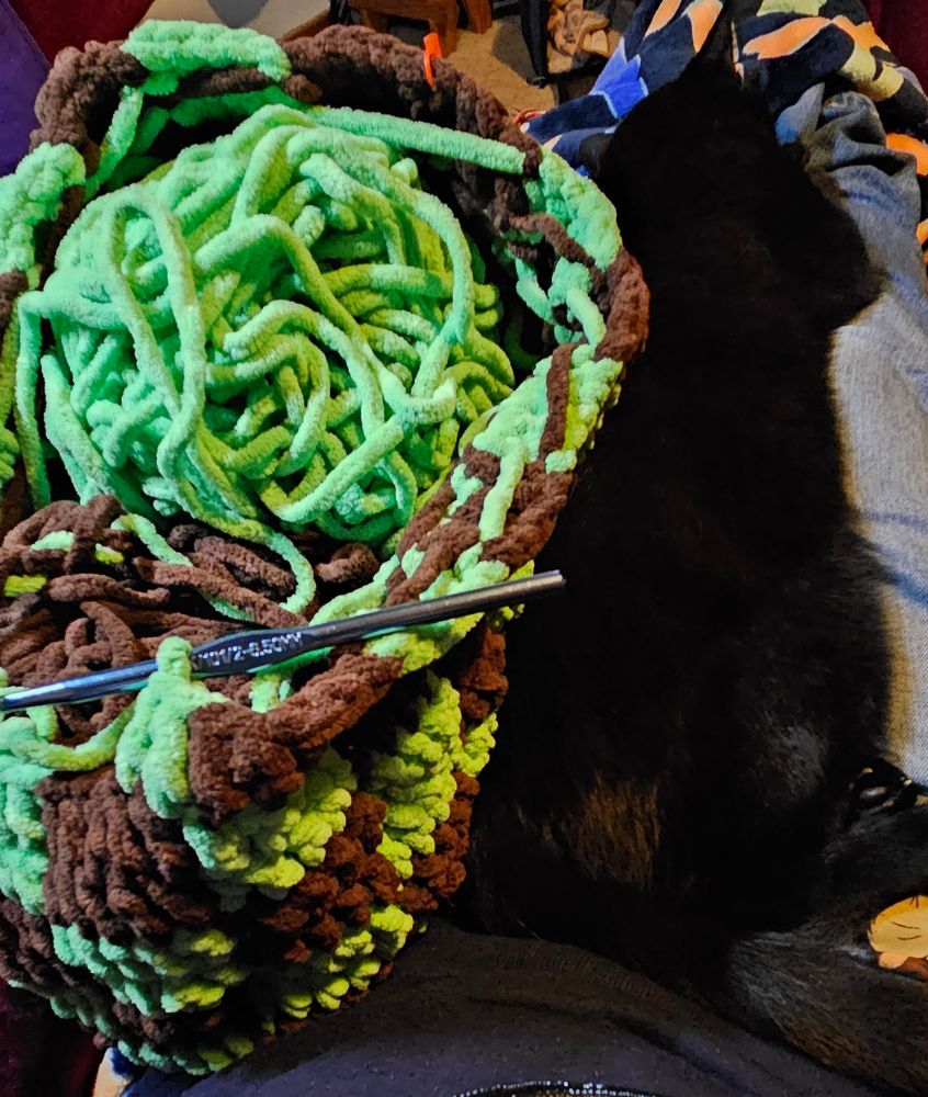 A crochet bag half finished in mint green and chocolate brown chunky wool. The bag has a checkerboard pattern in the two colours. Next to the partially completed bag is a small black cat stretched out on a lap.