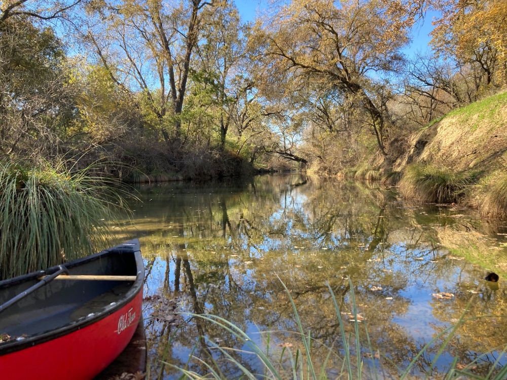 Red canoe emerges from lower left side of image and floats out to Putah Creek, with green and blue reflections, trees and grass under blue sky. Photo by Lauren Hitt, UC Davis