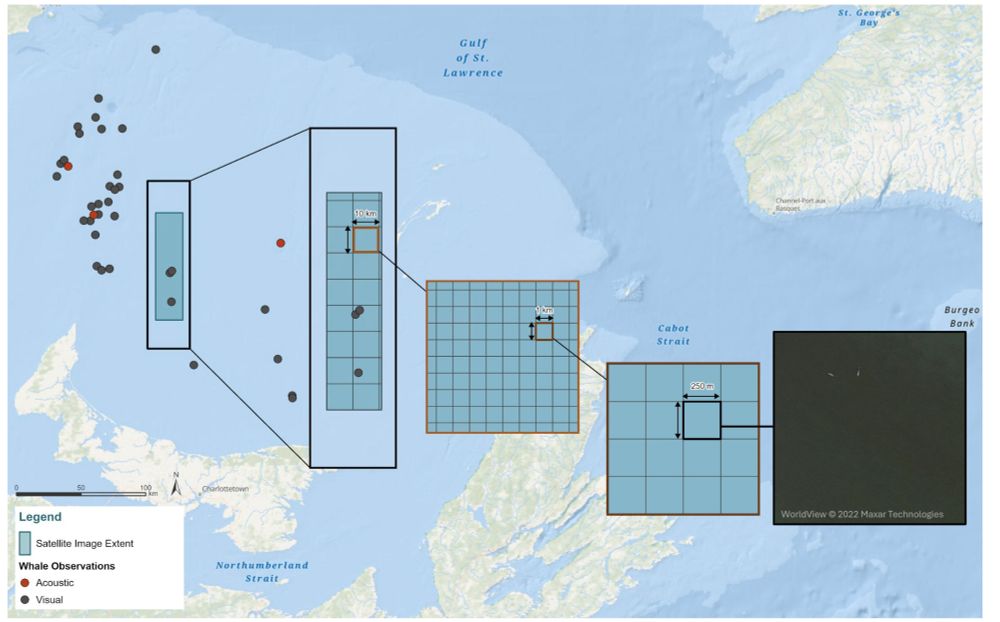 Figure of study area in the Gulf of St. Lawrence with an area imaged by a satelite highlighted and then zoomed in on to show a chip of the whole satellite image of the ocean