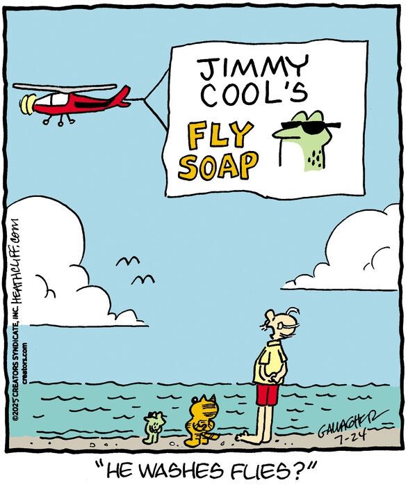 Over a beach, a plane flows a banner that reads JIMMY COOL'S FLY SOAP next to a large picture of Jimmy the frog wearing sunglasses. On the beach, Jimmy (still wearing the sunglasses), Heathcliff, and Grandpa Nutmeg look up at the banner. Grandpa Nutmeg says "He washes flies?"