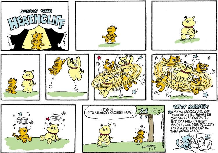 Heathcliff and Spike the Bulldog walk up to each other, leap into the air, and start fighting in a midair cartoon blur. They land on the ground, both bruised and dizzy, and then walk away from each other calmly. A bird watching from a nearby tree says "It's a standard greeting."

The Kitty Korner reads "Austin Mordahl of Chicago, IL says his cat 'Ace' loves to sit on his chest and lick his beard to wake him up in the morning!"