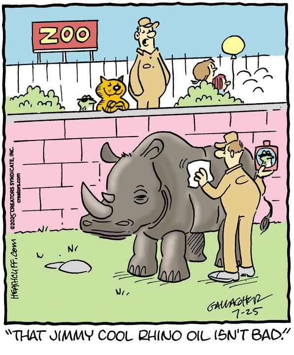 A zookeeper is oiling down a rhinoceros in a pen, holding a container of oil with Jimmy the frog wearing sunglasses on its label. Heathcliff watches over the exhibit alongside Jimmy, who's still wearing the sunglasses. A second zookeeper says "That Jimmy Cool Rhino Oil isn't bad."