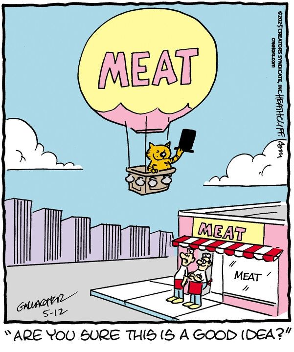 Heathcliff flies away from the meat store in a hot air balloon labeled Meat, holding a top hat. One meat store employee looks up proudly, while the other says "Are you sure this is a good idea?"