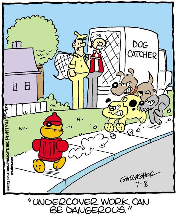 Heathcliff frantically runs down a sidewalk dressed as a fire hydrant as three mean-looking dogs chase him. Grandpa Nutmeg stands with a dog catcher watching him go, and the dog catcher says "Undercover work can be dangerous."