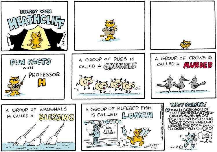 Heathcliff, wearing a jacket and tie and a pair of half-rimmed glasses, stands next to text that says Fun Facts with Professor H. Subsequent panels show groups of animals with text showing their names- A group of pugs is called a grumble, a group of crows is called a murder, and a group of narwhals is called a blessing. The last panel shows Heathcliff running away from the fish market holding several whole fish while the market's proprietor tells at him, and says "A group of pilfered fish is called lunch."

The Kitty Korner reads "Ronald Deskson of Zoetermeer, Netherlands says his cat 'Punchy' runs to the front door when he beers the doorbell to greet any guests!"
