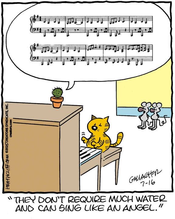 Heathcliff plays piano while a small cactus, perched on top of the piano in a little clay pot, sings a complicated series of notes. Two mice watch the performance, with one of them saying "They don't require much water and can sing like an angel."