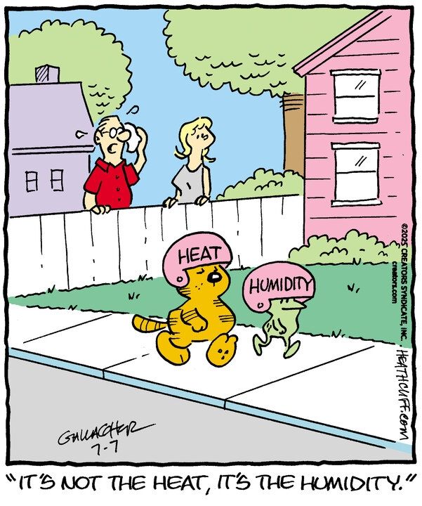 Heathcliff and Jimmy the frog walk down the sidewalk. Heathcliff is wearing a pink helmet that says HEAT, and Jimmy is wearing a matching pink helmet that says HUMIDITY, the helmet too big on his tiny frog head. A sweating man and a woman watch them pass from behind a white fence, and the man says "It's not the heat, it's the humidity."
