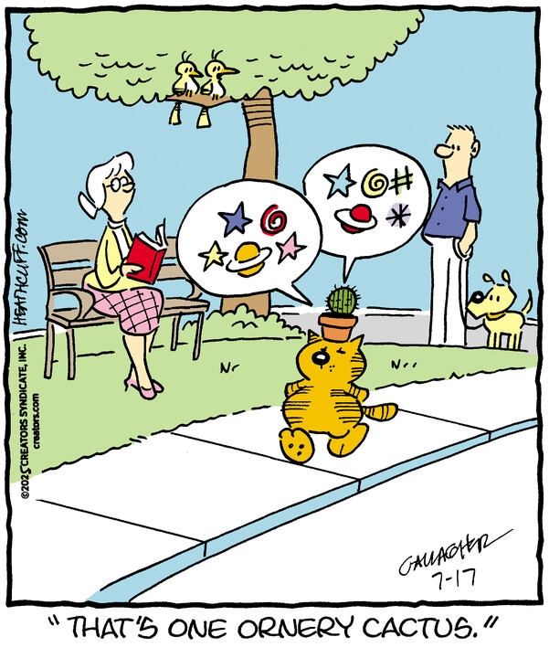 Heathcliff walks down the street with a cactus in a small pot balanced on his head. The cactus is loudly swearing, as onlookers look by in shock. Two birds watch him walk by, and one says "That's one ornery cactus."