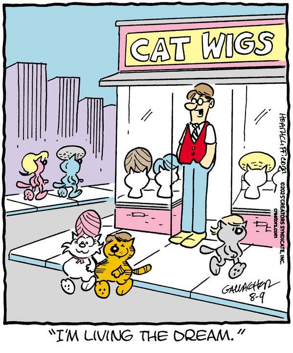 The owner of a cat wig shop stands in front of his store, surrounded by a bunch of cats walking around wearing colorful wigs, including Heathcliff and his girlfriend Sonja. Happily, the store's proprietor says "I'm living the dream."