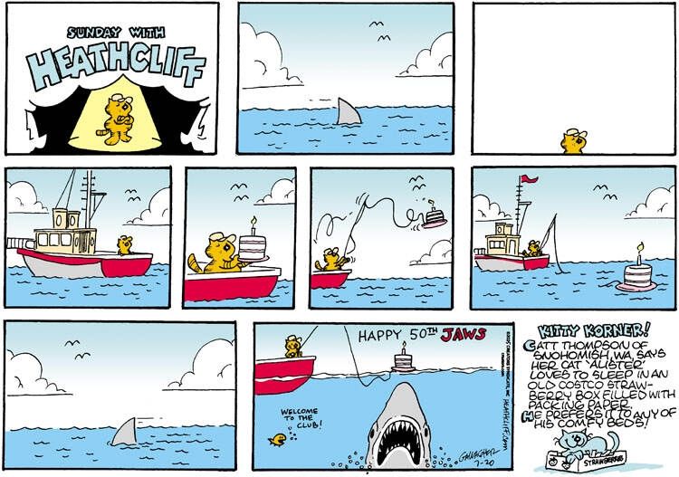 Heathcliff, wearing a baseball hat, stands in a boat on the ocean while a shark lurks around. He grabs a birthday cake, complete with lit candle, and attaches it to a fishing rod, throwing it into the ocean. The shark approaches the cake and rises to eat it, in a pose reminiscent of the iconic Jaws poster. Text over the scene reads "Happy 50th, Jaws" and a fish in the ocean says "Welcome to the club!" to the shark.

The Kitty Korner reads "Catt Thompson of Snohomish, WA says her cat 'Alister' loves to sleep in an old Costco strawberry box filled with packing paper. He prefers it to any of his comfy beds!"