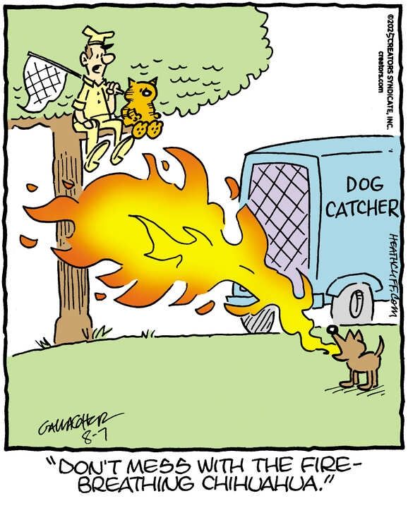 Heathcliff and a dog catcher sit up high on a tree branch, just out of the reach of a chihuahua's giant plume of fire breath. The dog catcher says "Don't mess with the fire-breathing chihuahua."