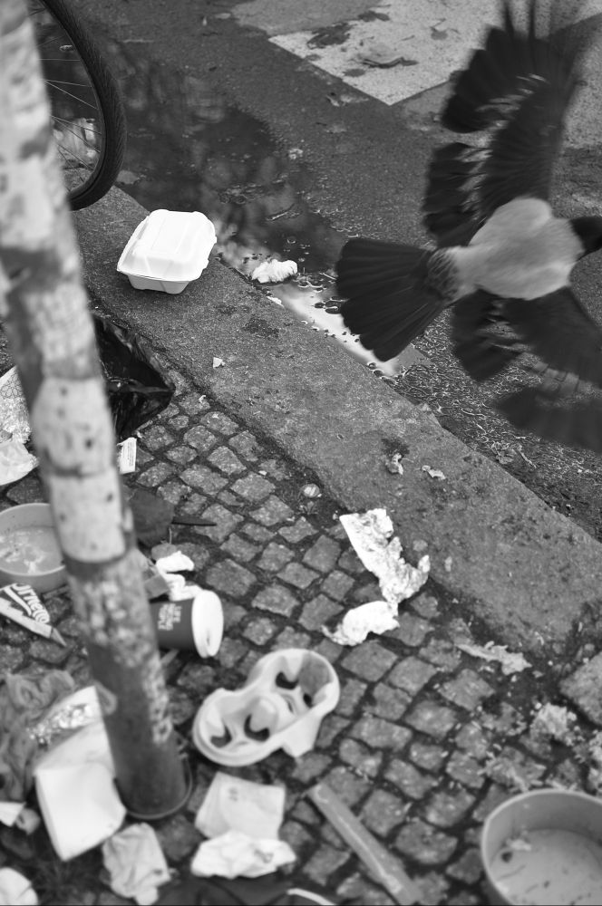 s/w. rechts oben eine krähe die gerade wegfliegt von einem haufen müll am bordstein, kaffeebecher u.ä.