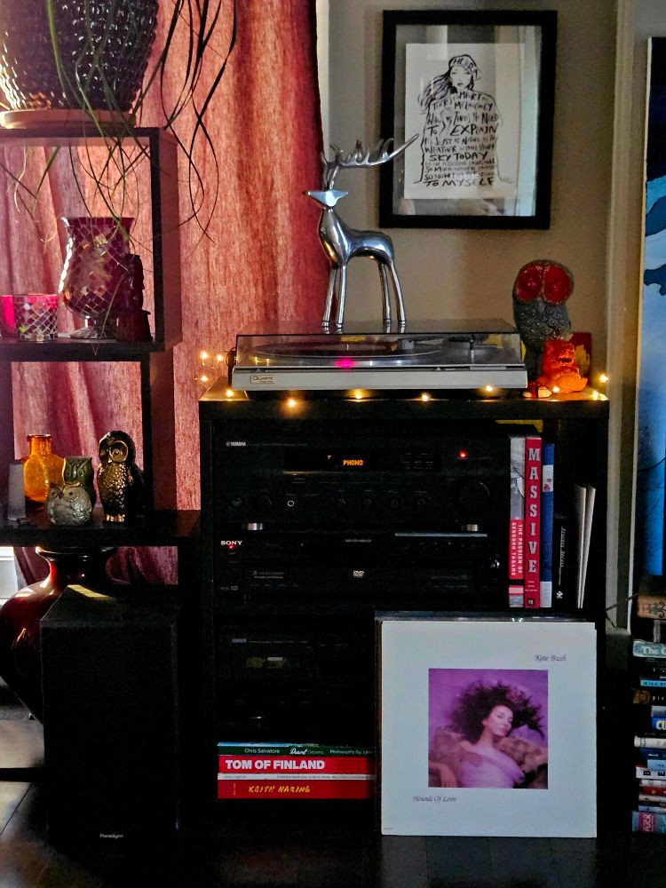 Kate Bush album Hounds of Love propped up against my stereo shelf, which is surrounded by books and bric-a-brac.  The cover photo was taken by John Carder Bush. The image in a centred square image of Kate Bush lying upon  purple/pink fabric with two Weimaraners named Bonnie and Clyde. Her arms are wrapped around their necks as they rest upon her shoulders.  Her hair is splayed out on the fabric, and se is wrapped in a gauzy purple/pink fabric.