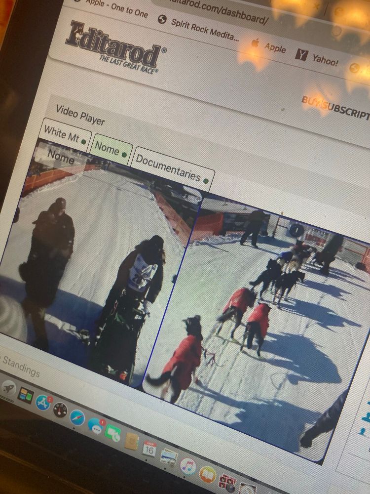 Screenshot from Iditarod finish in Nome AK of musher and his pups