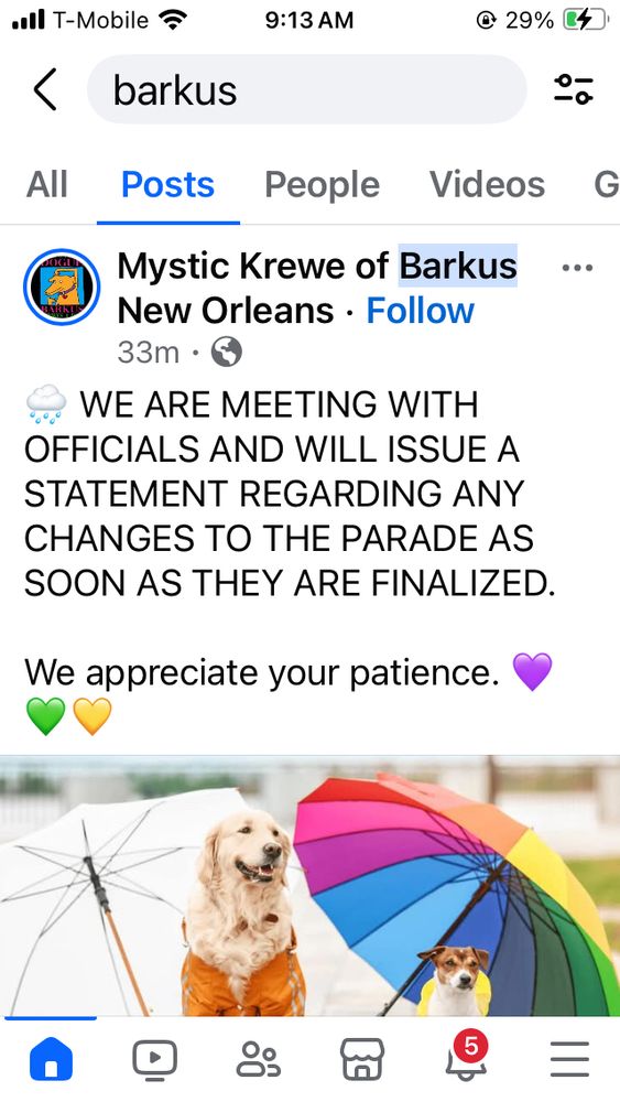 Screenshot / Photo of two dogs with umbrellas and statement from Barkus to stay tuned on Sunday parade due to rain
