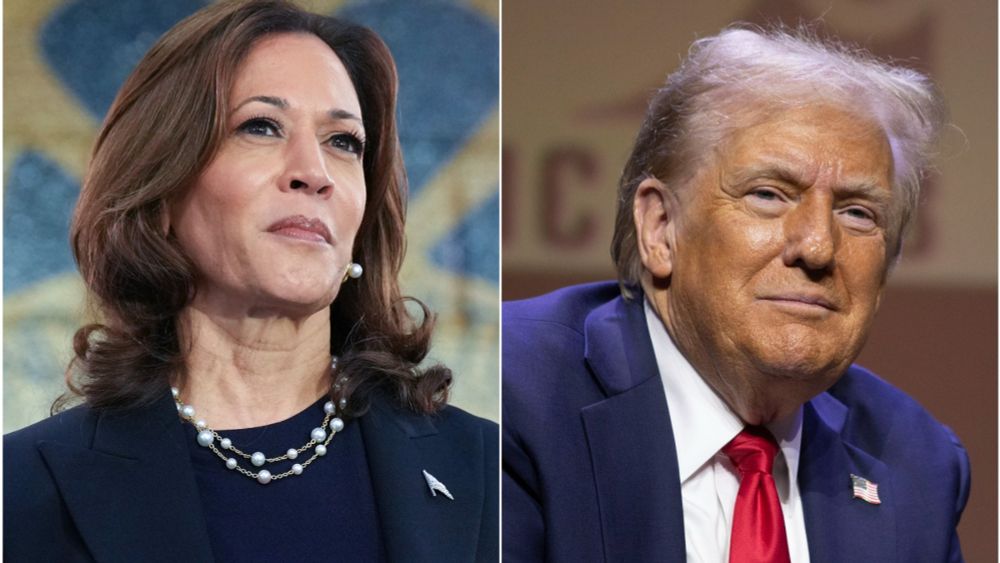 Trump Is Big Mad That Fox News Is Interviewing Harris