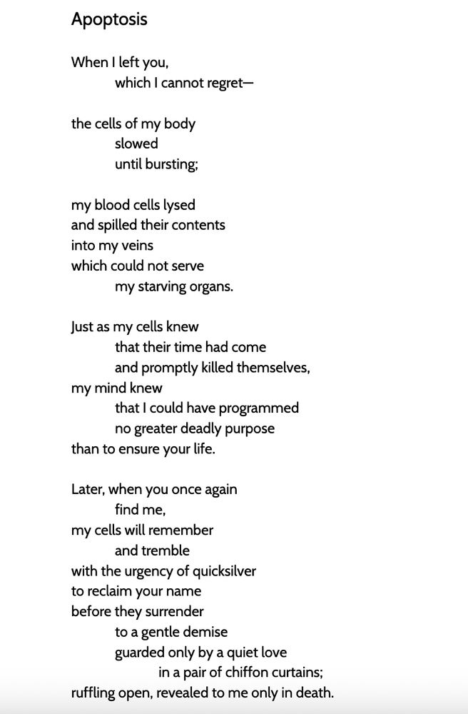 A screenshot of the poem "Apoptosis" by Spock Lovemail. 

"When I left you,
	which I cannot regret—

the cells of my body
	slowed 
	until bursting;

my blood cells lysed
and spilled their contents
into my veins 
which could not serve 
my starving organs.

Just as my cells knew
	that their time had come
	and promptly killed themselves,
my mind knew
	that I could have programmed
	no greater deadly purpose
than to ensure your life.

Later, when you once again
	find me,
my cells will remember 
	and tremble
with the urgency of quicksilver
to reclaim your name
before they surrender 
	to a gentle demise 
guarded only by a quiet love
in a pair of chiffon curtains;
ruffling open, revealed to me only in death."
