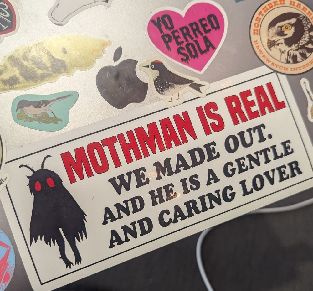 A picture of a sticker on the back of my Mac Air book that says "Mothman is real. We made out. And he is a gentle and caring lover"