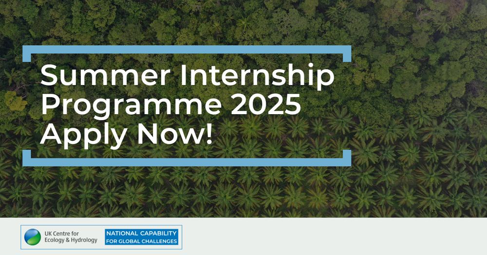 Aerial view over an oil palm plantation at a rainforest edge and the text Summer Internship Programme 2025 Apply Now!