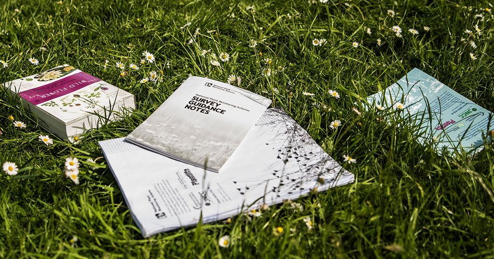Books and papers lying on daisy covered grass