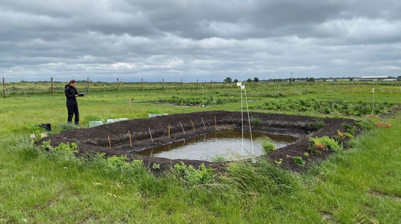 Scientist stands beside a rectangular paddy field plot full of water located in a field