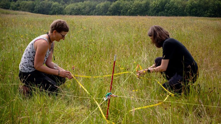 Two people in a field setting out a quadrat for environmental monitoring