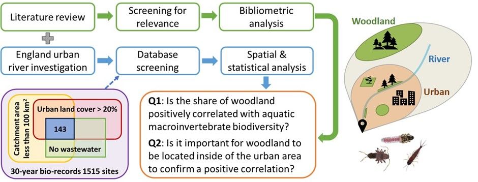 Flowchart mapping the process for the study including sources to understand and analyze the relationship between woodland and freshwater invertebrate biodiversity. 