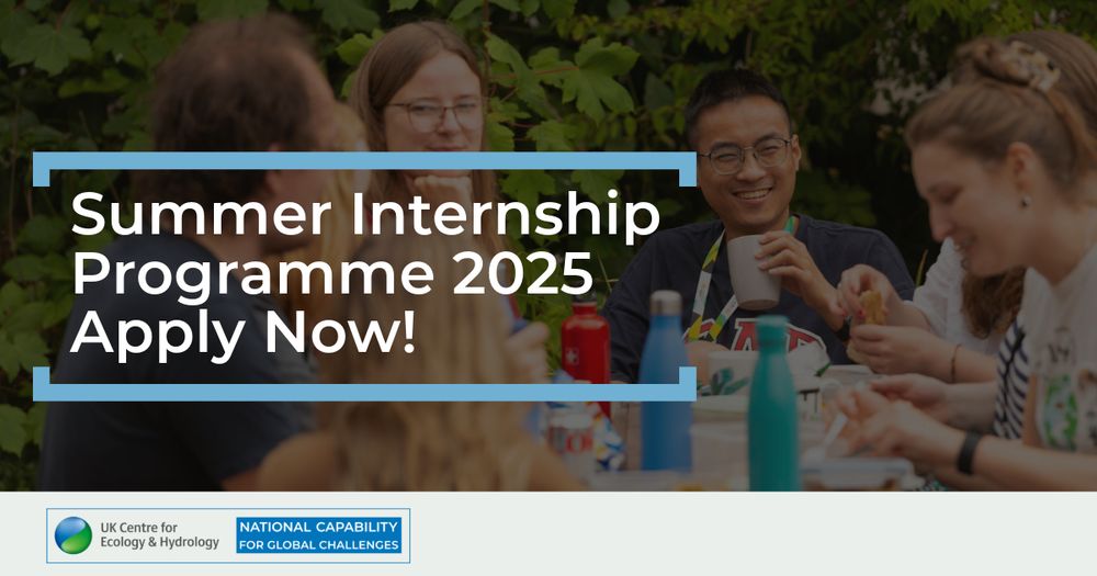 Group of people sitting outside eating lunch, and the text Summer Internship Programme 2025 Apply Now!