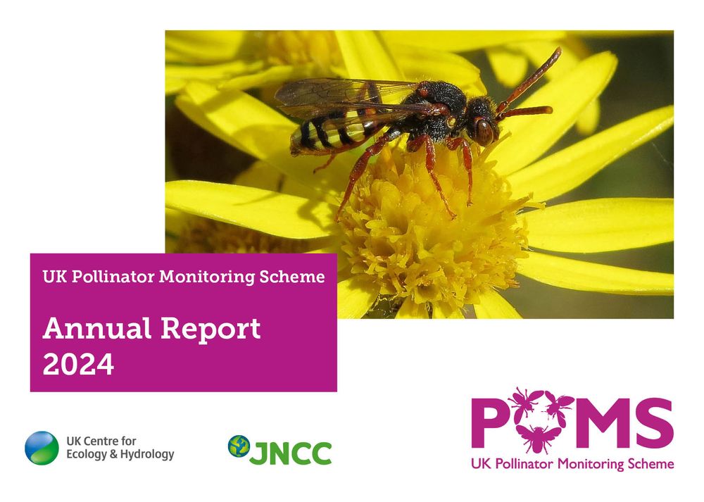 Front cover of UK Pollinator Monitoring Scheme Annual Report 2024, including image of Variable Nomad Bee, Nomada zonata
© Steven Falk and logos of UKCEH, JNCC and PoMS