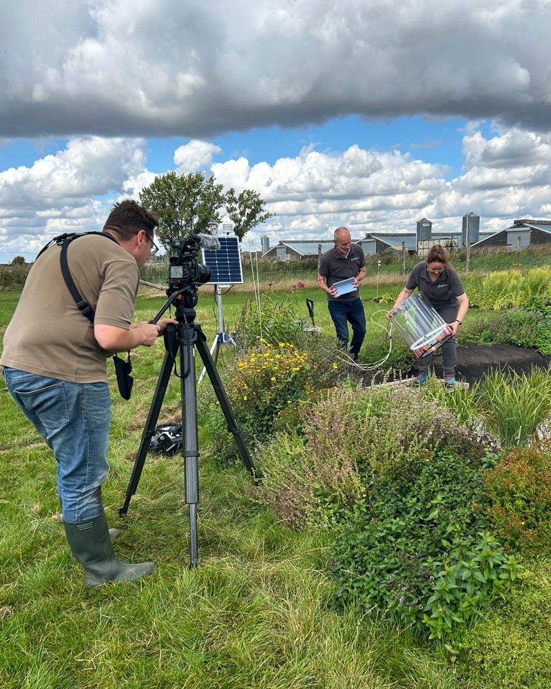 A video camera operator looks at two people, one of whom is lowering a chamber into a small paddy field plot